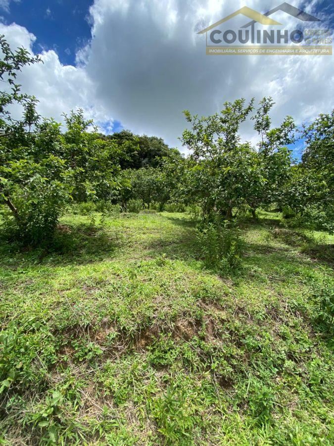 WhatsApp Image 2026-01-15 at 13.59.54 (9).jpeg